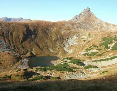 F6bcd3f90a906ab886fb97cea7f61913